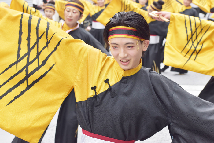 よさこい衣装・祭り衣装　　幡多舞人様 