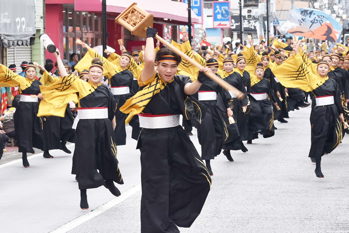 よさこい衣装・祭り衣装　　幡多舞人様 