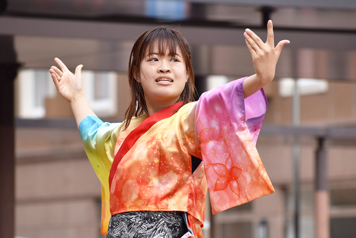 よさこい衣装・祭り衣装　　鹿児島大学よさこいサークル隼人様 