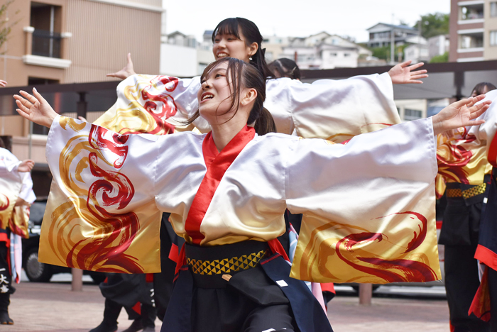 よさこい衣装・祭り衣装　　熊本県立大学一大事様 