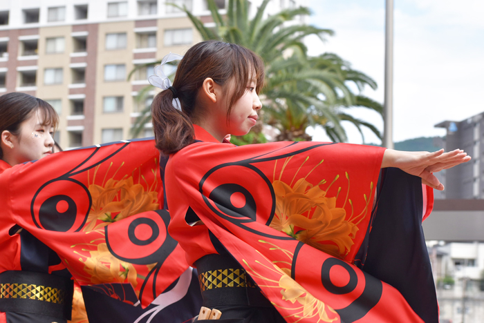 よさこい衣装・祭り衣装　　熊本県立大学一大事様 