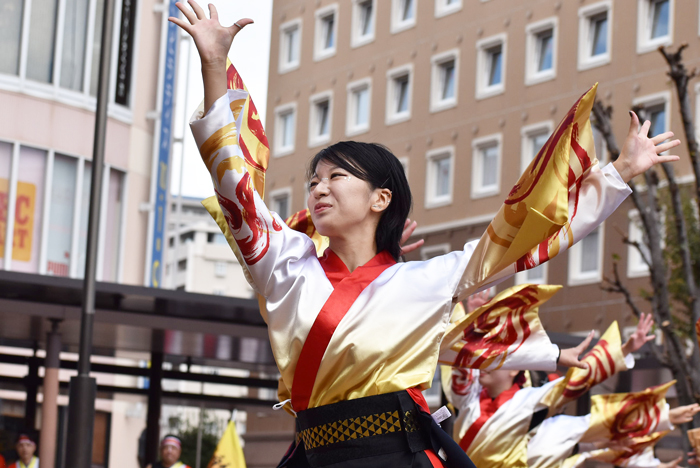 よさこい衣装・祭り衣装　　熊本県立大学一大事様 