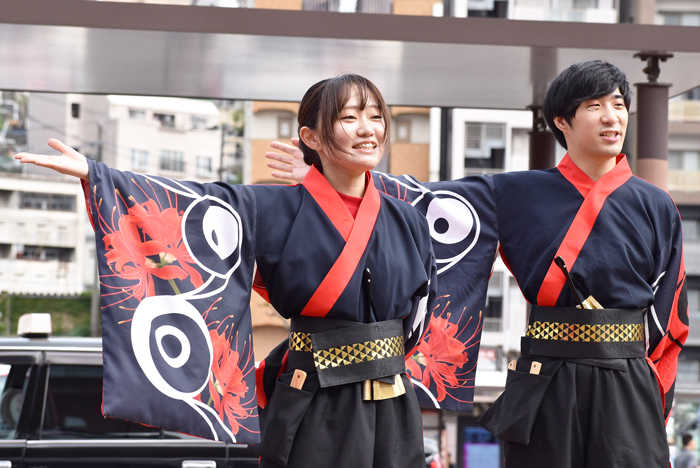 よさこい衣装・祭り衣装　　熊本県立大学一大事様 