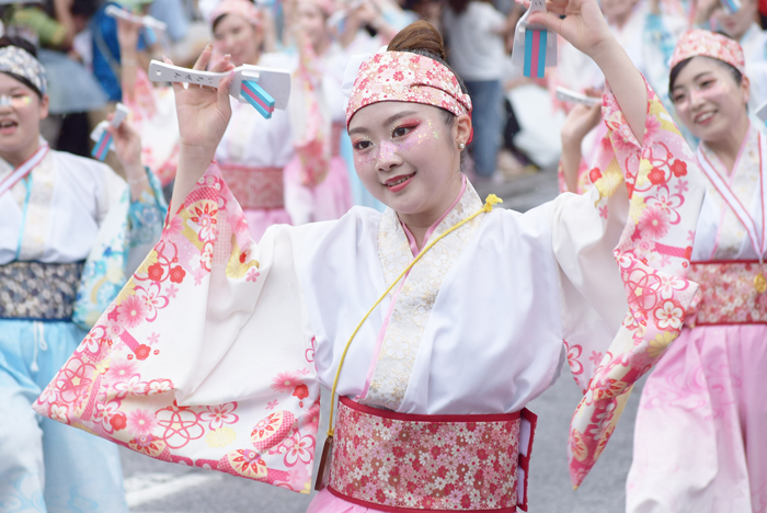 よさこい衣装・祭り衣装　　いちぜん様 