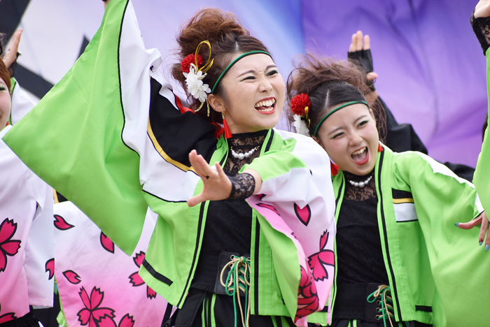 よさこい衣装・祭り衣装　　一喜一遊様 