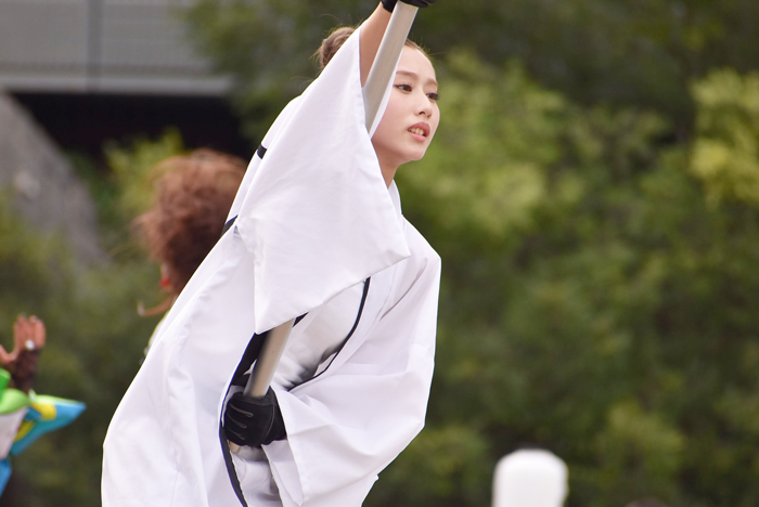 よさこい衣装・祭り衣装　　一喜一遊様 