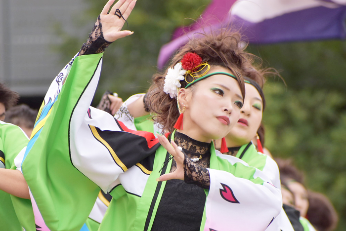 よさこい衣装・祭り衣装　　一喜一遊様 