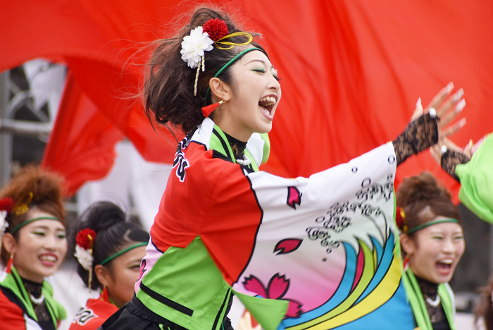 よさこい衣装・祭り衣装　　一喜一遊様 