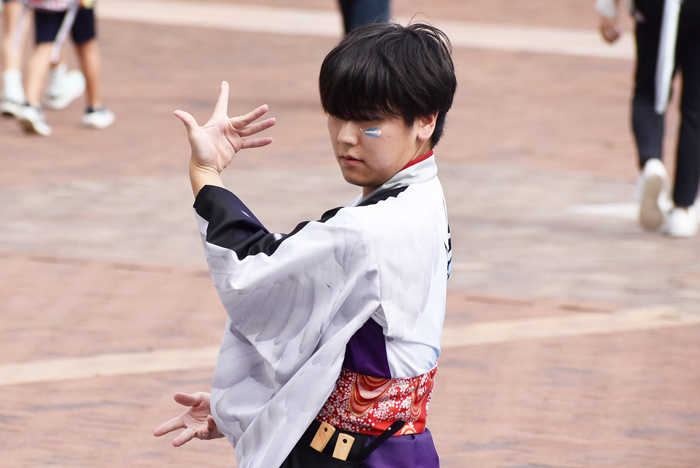 よさこい衣装・祭り衣装　　崇城大学～華咲流舞～様 