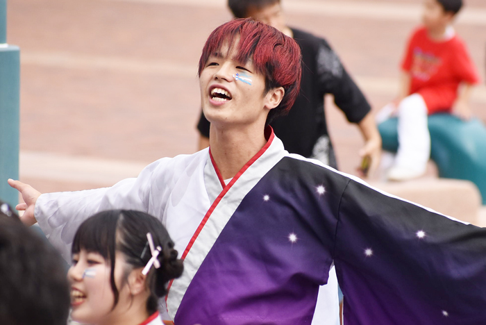 よさこい衣装・祭り衣装　　崇城大学～華咲流舞～様 