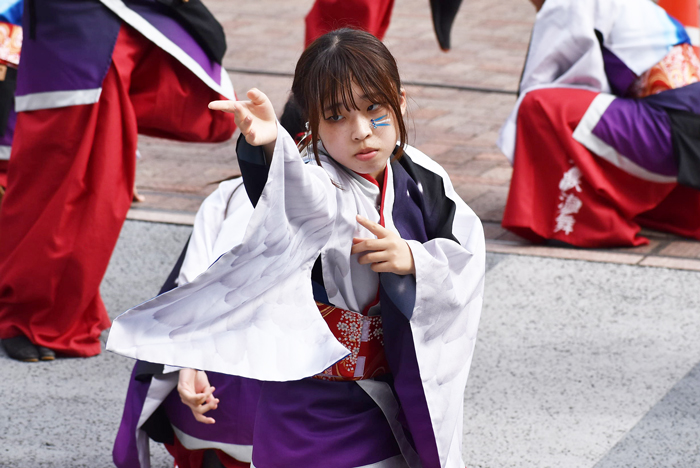 よさこい衣装・祭り衣装　　崇城大学～華咲流舞～様 