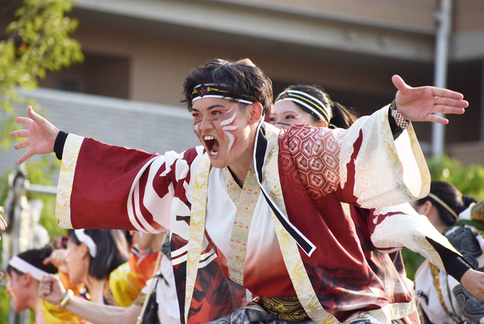 よさこい衣装・祭り衣装　　岡山うらじゃ連蓮雫様 