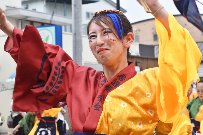 よさこい衣装・祭り衣装　　祭会様 
