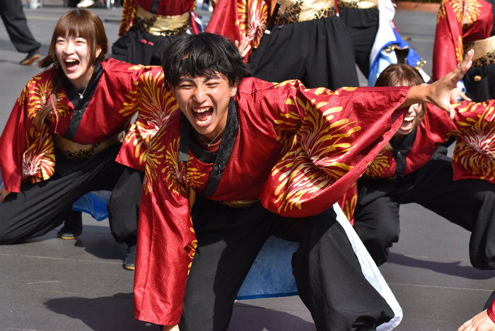 よさこい衣装・祭り衣装　　下関市立大学よさこいダンスサークル震様 