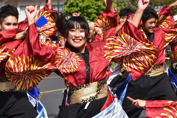 よさこい衣装・祭り衣装　　下関市立大学よさこいダンスサークル震様 