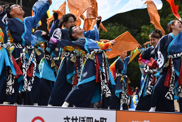 よさこい衣装・祭り衣装　　しんら様 