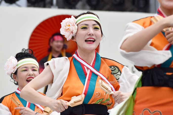 よさこい衣装・祭り衣装　　Summer Zipper様 