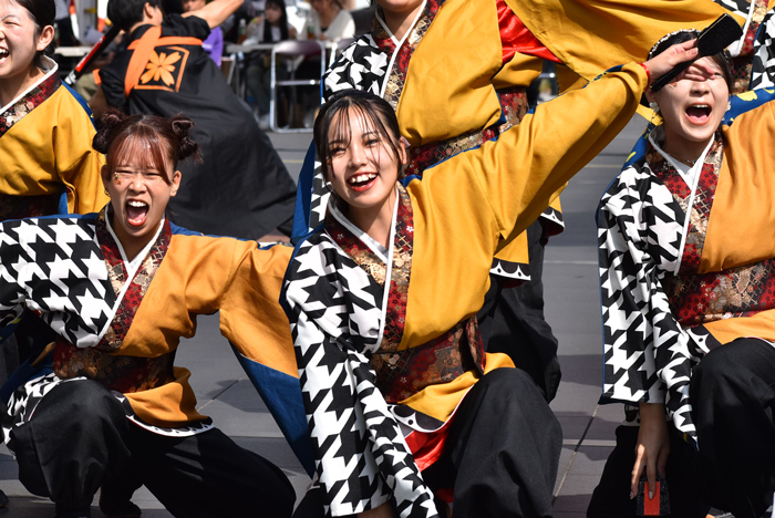 よさこい衣装・祭り衣装　　島根県立大学 よさこい橙蘭様 