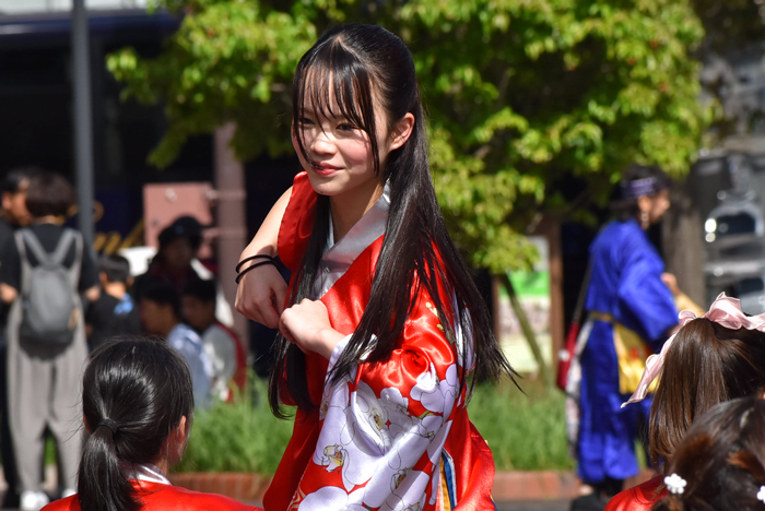 よさこい衣装・祭り衣装　　島根県立大学 よさこい橙蘭様 