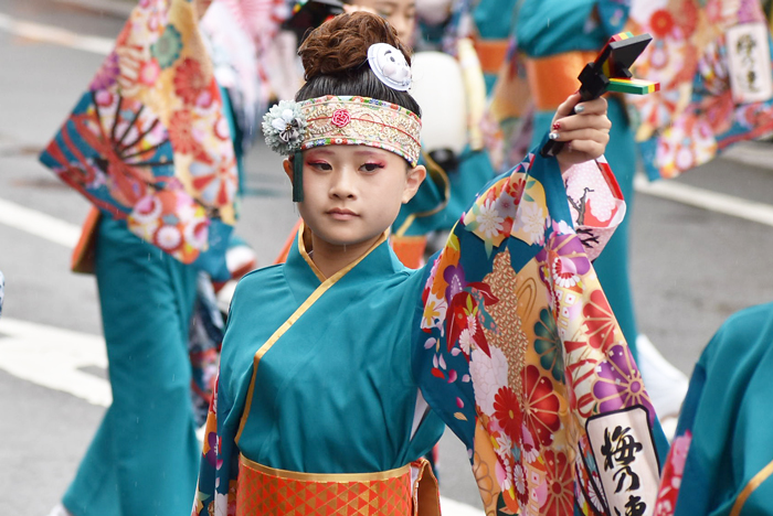 よさこい衣装・祭り衣装　　梅乃連様 