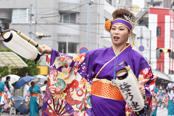 よさこい衣装・祭り衣装　　梅乃連様 