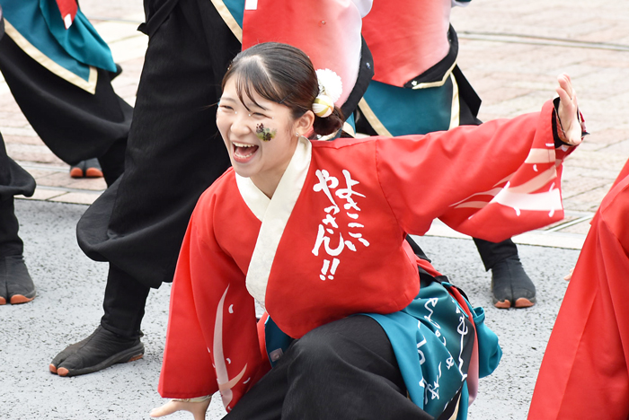 よさこい衣装・祭り衣装　　山口大学よさこいやっさん！！様 