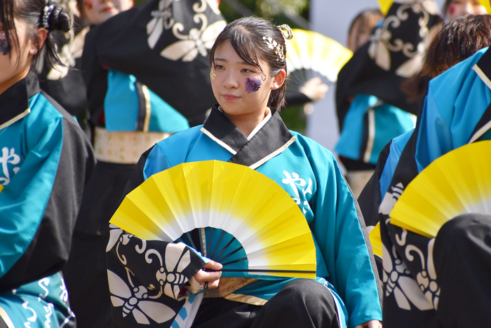 よさこい衣装・祭り衣装　　山口大学よさこいやっさん！！様 