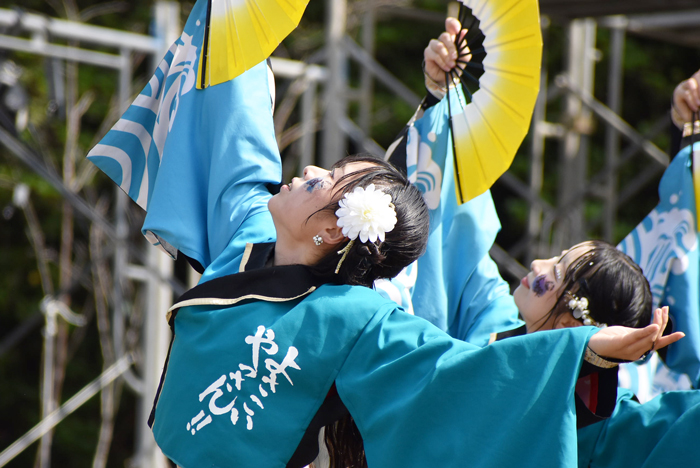 よさこい衣装・祭り衣装　　山口大学よさこいやっさん！！様 