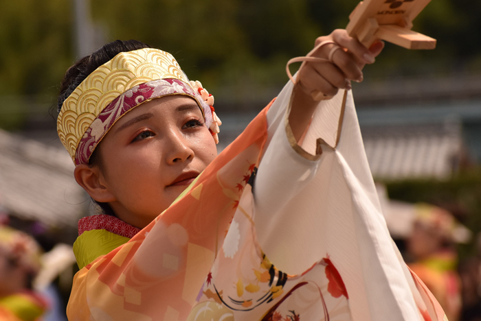 よさこい衣装・祭り衣装　　よんでんグループ様 