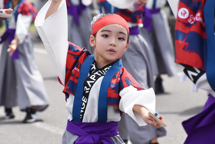 よさこい衣装・祭り衣装　　よさこいラプチャーズ様 